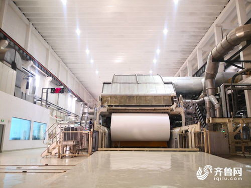 晨鸣集团 加快发展新质生产力 扎实推动高质量发展