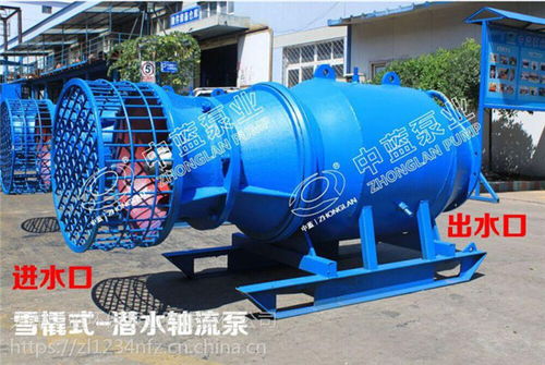雪橇式轴流泵 斜拉式轴流泵技术支持 潜水轴流泵 卧式轴流泵现货