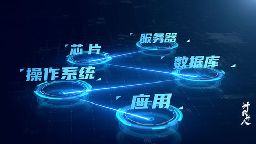 东吴证券信息技术总部 下 业技融合,开启数字化加速度 卅载卅人 第6期